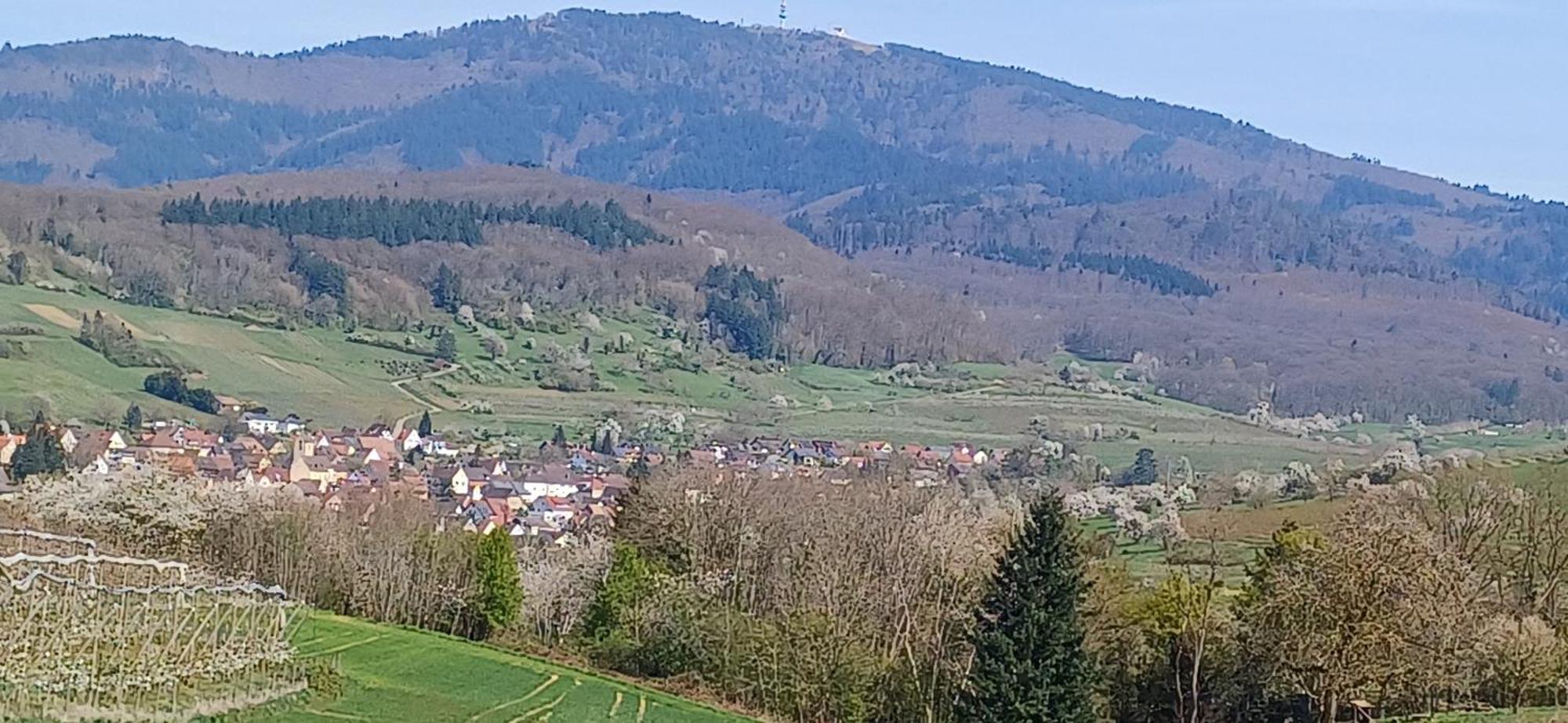 Ferienwohnung Am Blumengaessle Mullheim (Baden-Wurttemberg) Exterior foto