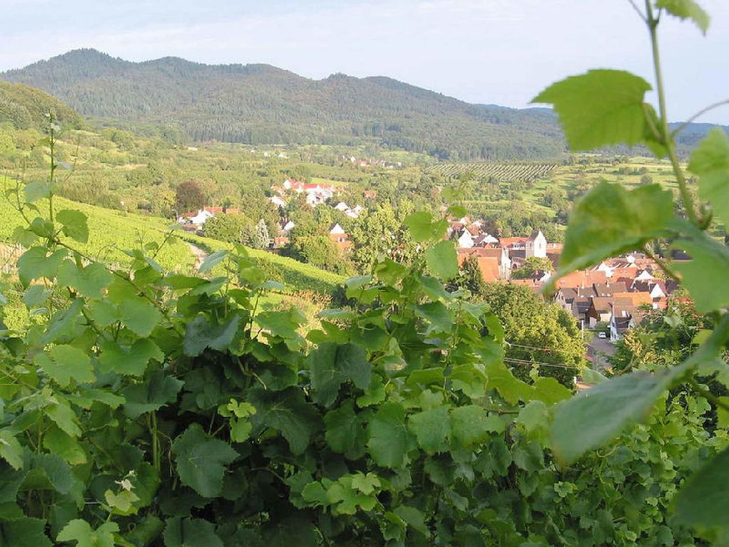 Ferienwohnung Am Blumengaessle Mullheim (Baden-Wurttemberg) Exterior foto